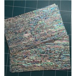 Paua Blue shell sheet