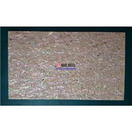 KOREAN AWABI SPOT SHELL Laminated SHEET - 1.5mm