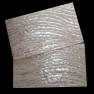 Trocas shell sheet