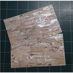 Mexican dark shell sheet