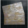 Gold MOP shell sheet