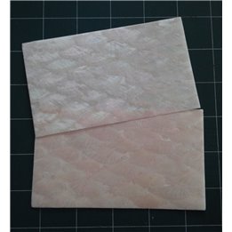 Donkey ear THIN shell sheet