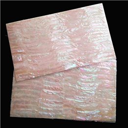 Green Sea Snail shell sheet