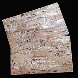 Mexican dark shell sheet