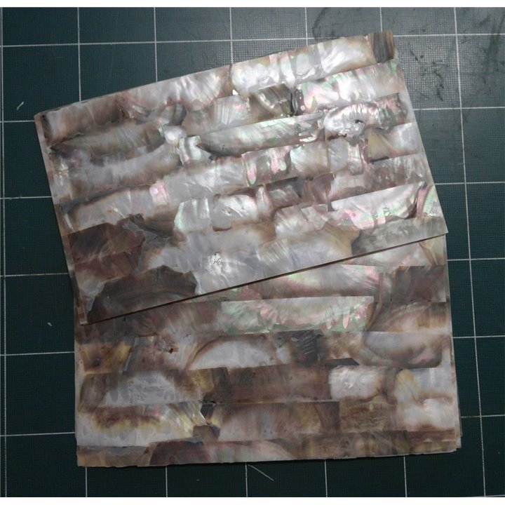 Black MOP medium shell sheet