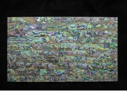 Imagén: Paua Blue shell sheet