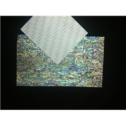 Paua Blue (Adhesive Tape) shell sheet