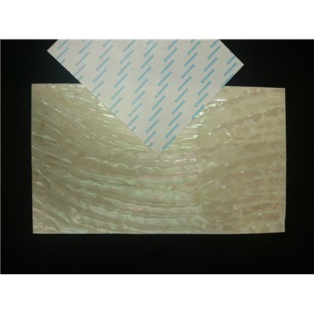 TROCA (Adhesive tape) SHELL SHEET