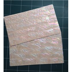 Korean Awabi shell sheet