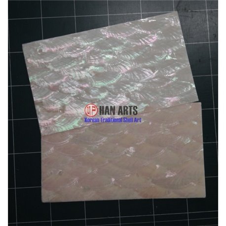 DONKEY EAR SHELL Laminated SHEET - 1.5mm