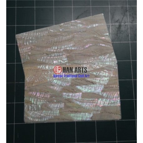 MEXICAN MEDIUM SHELL Laminated SHEET - 1.5mm