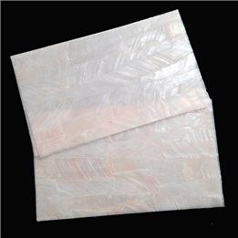 White River shell sheet