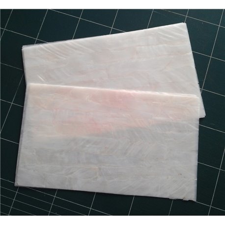 White River shell sheet