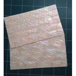 Korean Awabi THIN shell sheet
