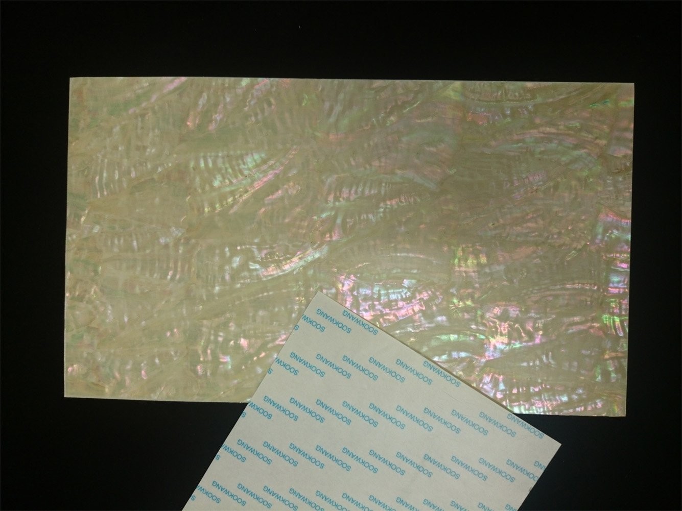 KOREAN AWABI (Adhesive tape) SHELL SHEET