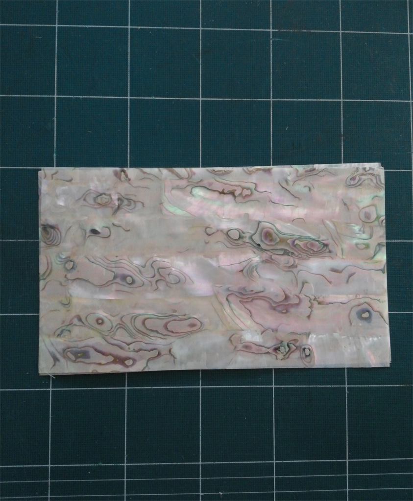 red abalone shell sheet